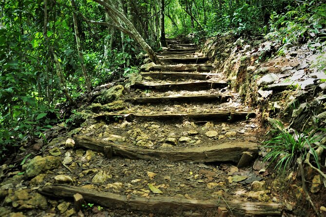 Samaná Whale Watching, waterfall & Cayo Levantado Adventure - Dominican Ranch Lunch: Real Food, Real Energy