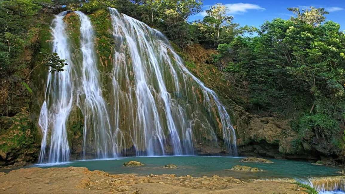 Samaná Whales Full Day, Cayo Levantado, Limón Waterfall - Key Points to Know Before You Go