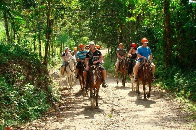 Samana+Baracardi Island Tour And Lemon Jump From PUJ - From Punta Cana to Cañita: the morning that sets the pace