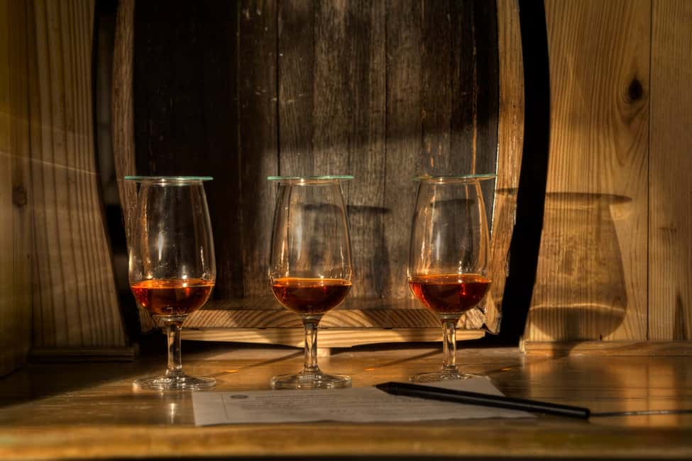 San Pedro De Macoris: Ron Barcerló Rum Factory Tour - Who This Tour Fits Best (and Who Might Want Another Plan)