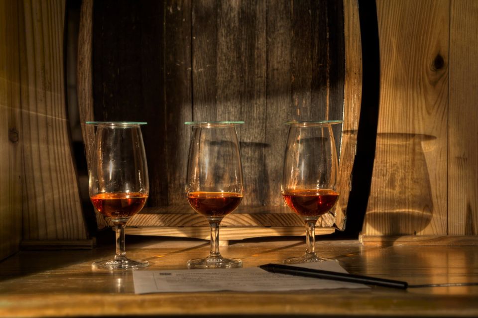 San Pedro De Macoris: Ron Barcerló Rum Factory Tour - Should You Book This Ron Barceló Tour?
