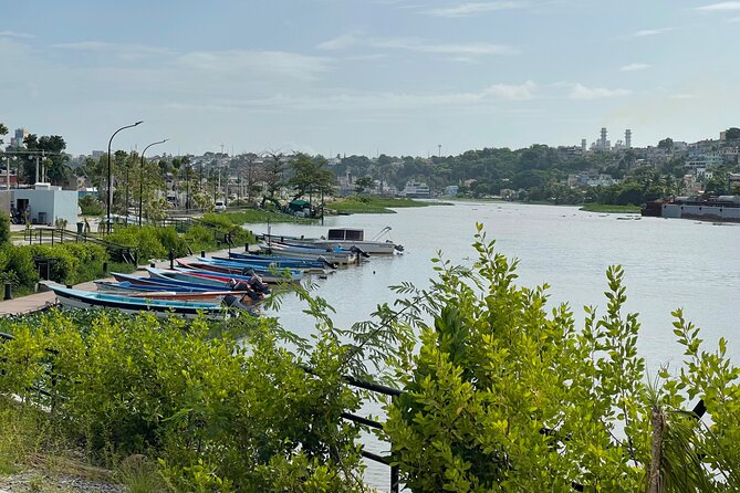 Santo Domingo: City Boat Ride Adventure Guided Tour - The Ceiba of Columbus: A Short Stop With Big Emotional Weight