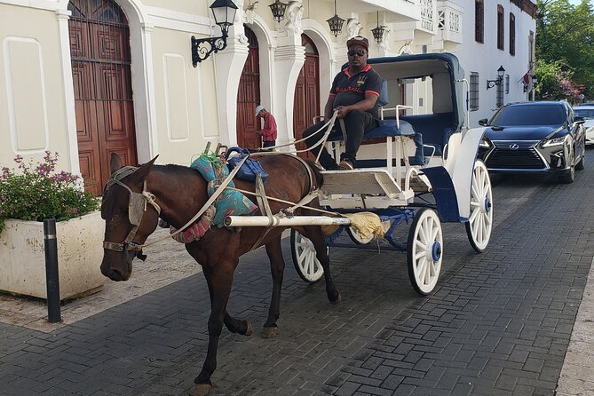 Santo Domingo City Tours Full Day From Punta Cana - Los Tres Ojos: Limestone Caves and Three Turquoise Lagoons