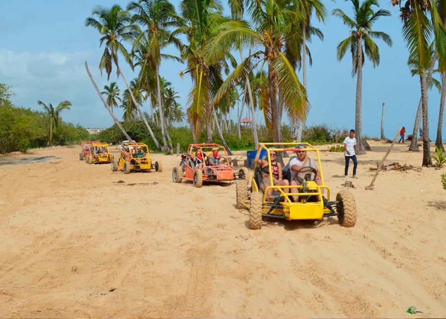 Santo Domingo: Panoramic tour to Punta Cana with Buggy Ride - What to expect from the guide and language support