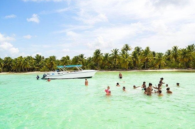 Saona Bayahibe Island Day Trip - The included Dominican lunch buffet: the energy insurance you’ll thank yourself for