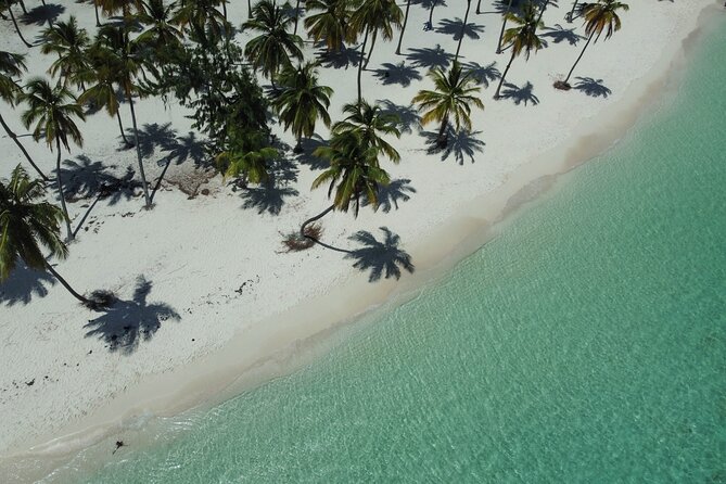 Saona by Speedboat: Private Beach & Snorkeling – Small Group - Lunch and drinks: what’s included (and what isn’t)