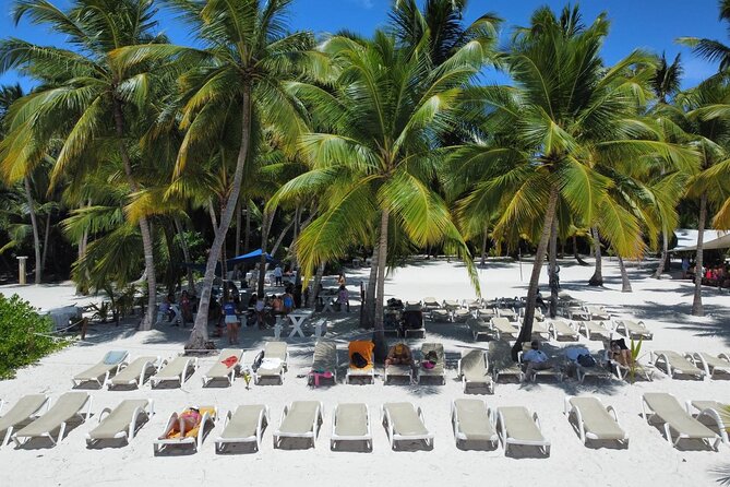 Saona by Speedboat: Private Beach & Snorkeling – Small Group - Small-group feel for cruise schedules (and why 24 matters)