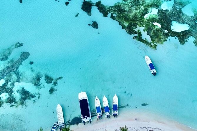 Saona by Speedboat: Private Beach & Snorkeling – Small Group - Should you book this Saona by Speedboat small-group day?