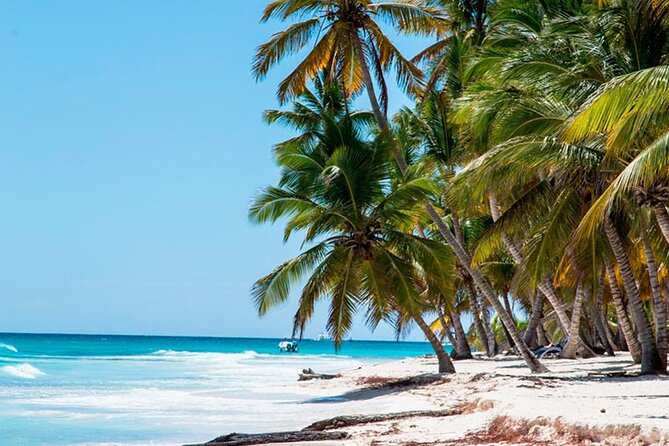 Saona Catamaran Cruise with Lunch and Natural Swimming Pool - Why Saona Island Feels Like a Real Beach Day (Not Just a Transfer)
