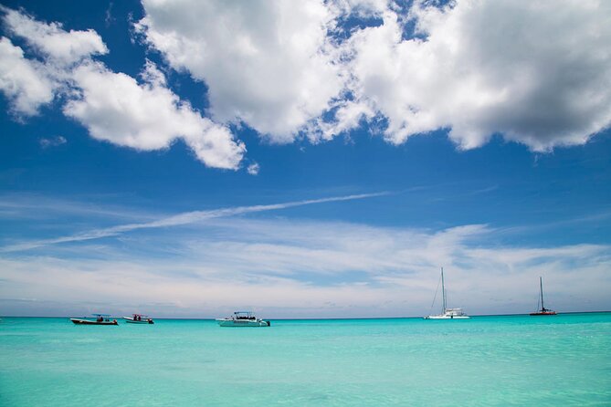 Saona Catamaran Cruise with Lunch and Natural Swimming Pool - Drinks, Music, and the Human Touch: Carlos and Tio Luis