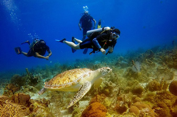 Saona Diving - Lunch, refreshments, and open bar with ocean views