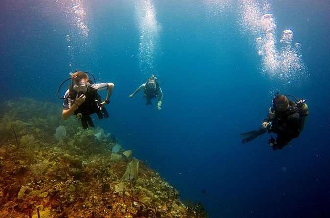 Saona Diving - The full-day flow: what your time will likely feel like