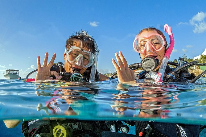 Saona Diving - Small-group instruction: what the guide support really changes