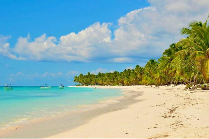 Saona Island Adventure: Natural Pool & All-Inclusive Drinks - The catamaran ride to Saona: why the sea time is worth it