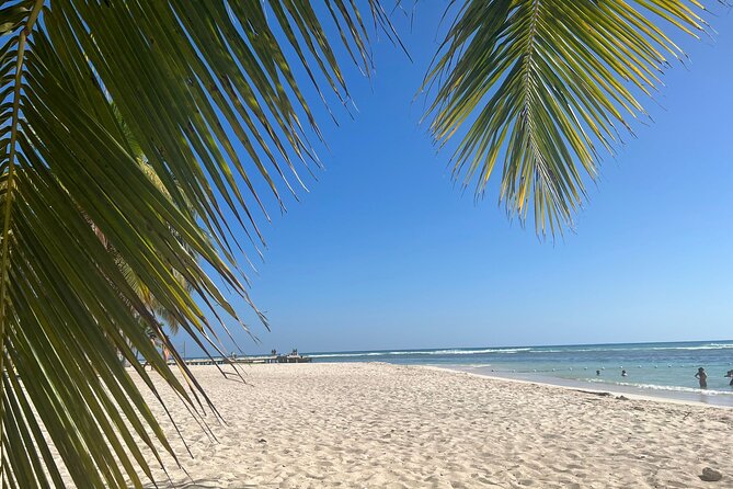 Saona Island and Chavon River Tour with Lunch and Drinks - Speedboat-only reality check: comfort and who should choose something else