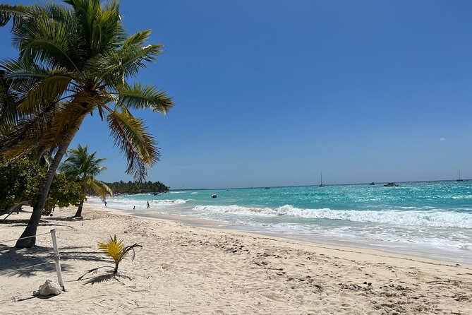 Saona Island and Chavon River Tour with Lunch and Drinks - Language and guide style: plan for some Spanish-heavy moments