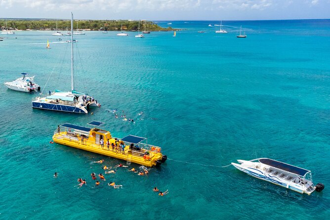 Saona Island at Yellow Submarine Exclusive Tour from Punta Cana - Key things I’d watch for on this Saona day