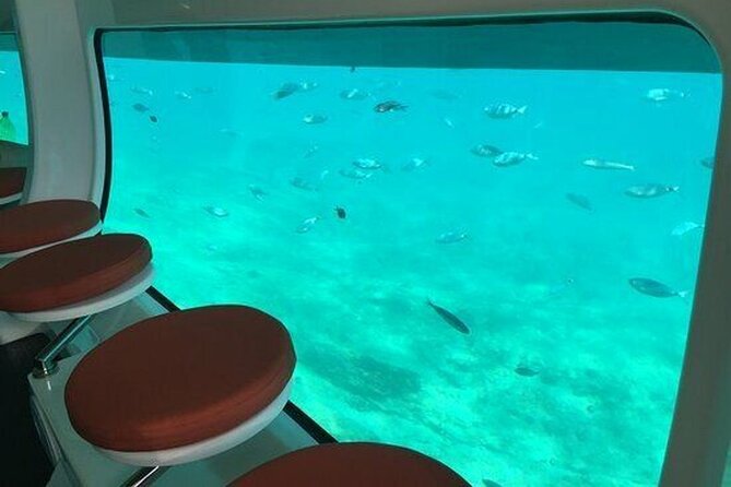 Saona Island at Yellow Submarine Exclusive Tour from Punta Cana - Who Should Book the Yellow Submarine Exclusive