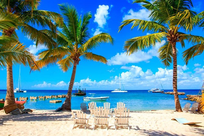 Saona Island by Paradise Travel - What You’re Really Buying for $80