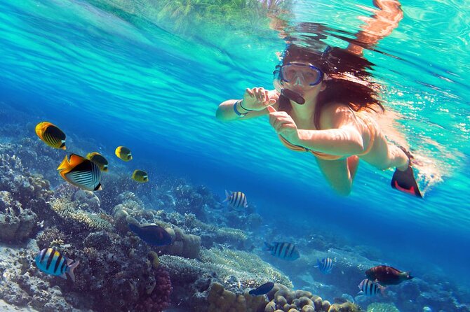 Saona Island by Paradise Travel - Saona Beach Time and Buffet Lunch: When the Day Becomes Real Island Time