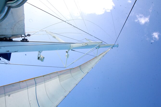 Saona Island by Paradise Travel - Snorkeling and the Return Catamaran Party: Drinks, Dancing, and Sea Breezes