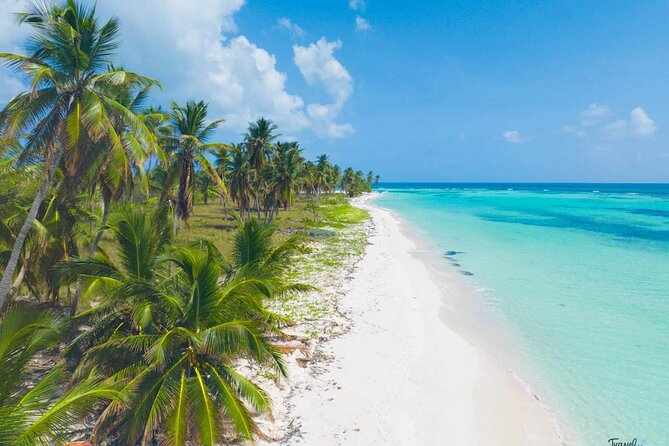 Saona Island Caramaran Adventure from Punta Cana With Lunch - Lunch and snacks: included fuel for a long day
