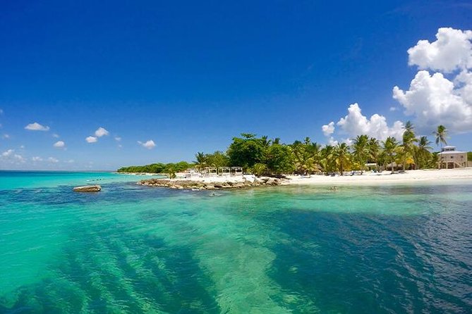 Saona Island Catamaran Cruise Experience (All Inclusive) - Catamaran cruise with music and drinks: what that means for your mood