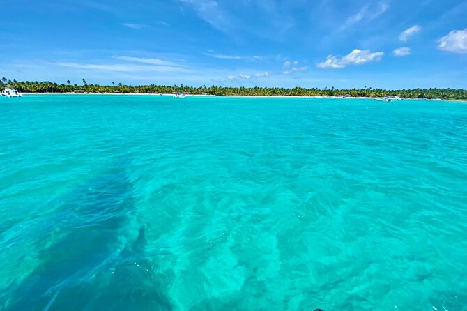Saona Island Catamaran Cruise Experience (All Inclusive) - Saona Island beach club access: sand time with built-in structure