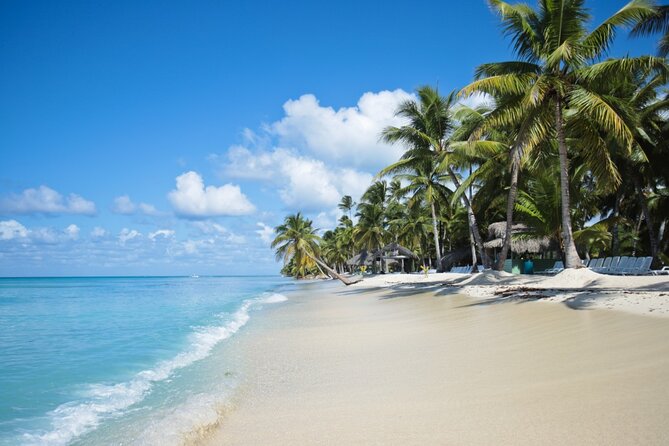 Saona Island Catamaran Cruise Experience (All Inclusive) - Lunch and open bar: included, but know what to expect