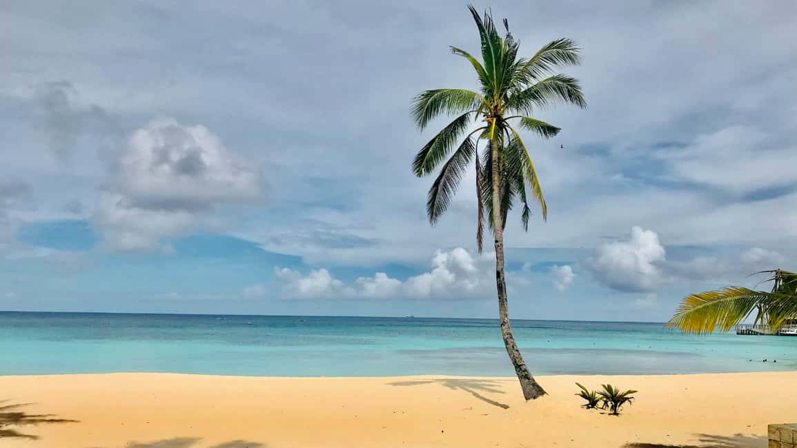 Saona Island: Catamaran Excursion with Lunch and Drinks - The return to Bayahibe: why waiting can shape your mood