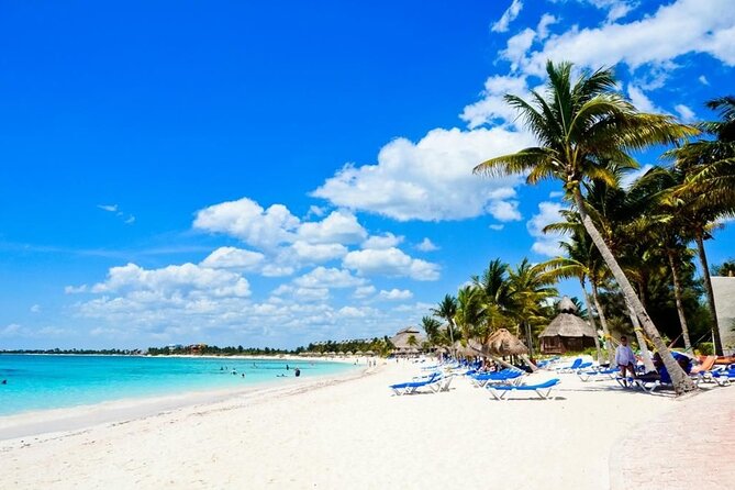 Saona Island Catamaran For Small Group Hotel Pick Food Drink - Key Highlights You’ll Care About