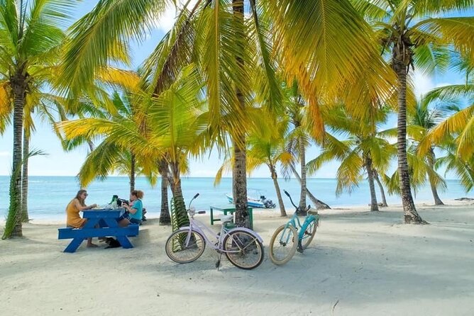 Saona Island Catamaran For Small Group Hotel Pick Food Drink - Lunch and Drinks: Simple, Needed, and Actually Helpful