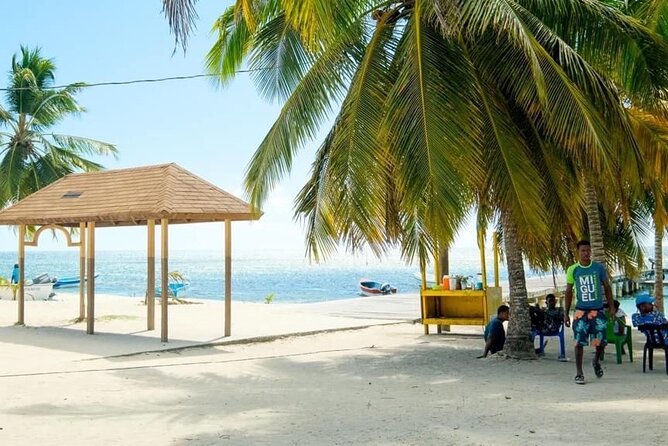 Saona Island Catamaran For Small Group Hotel Pick Food Drink - Who This Trip Fits Best (And Who Might Skip It)