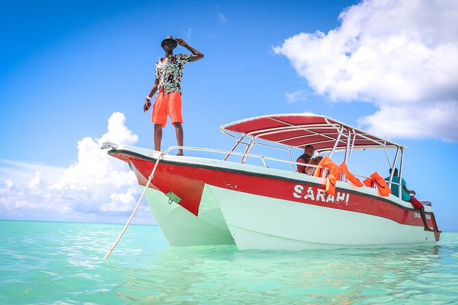 Saona Island Catamaran Tour Buffet & Open Bar from Punta Cana - Buffet lunch and open bar: BBQ, salad, and what to plan around
