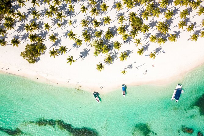 Saona Island Cruise & Private Beach - Key moments that make this Saona trip work