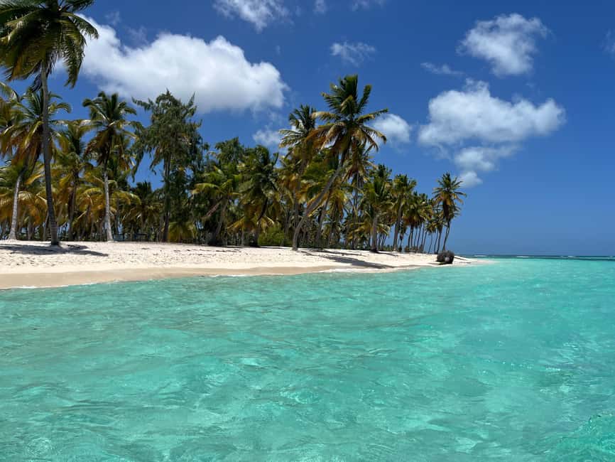 Saona Island Day for Marella Discovery (La Romana Port) - Value check: why $116 can be fair here