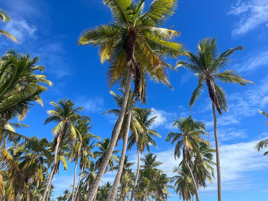 Saona Island Day for Marella Discovery (La Romana Port) - Canto de la Playa snorkeling: clear water and included gear