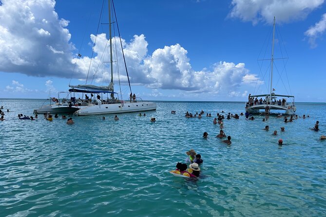 Saona Island Day Tour - From Punta Cana to Bayahibe by car and speed boat