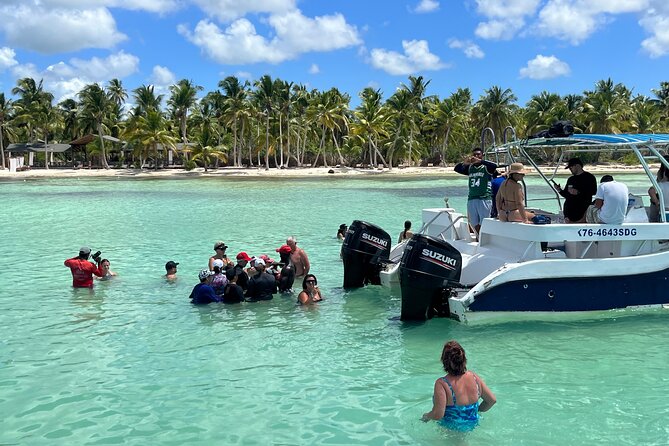 Saona Island Day Tour - Who this tour fits best (and who should think twice)