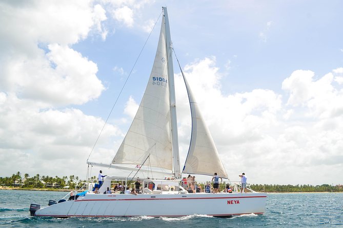 Saona Island Day Trip - Key highlights to clock before you go