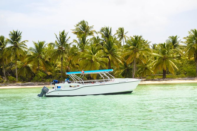Saona Island Day Trip - Boat transfer: speed boat vs catamaran expectations