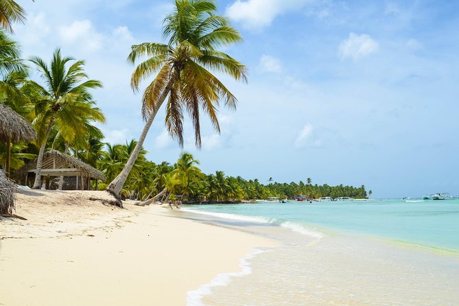 Saona Island Day Trip - Stop 1: the natural swimming pool near Playa Palmilla