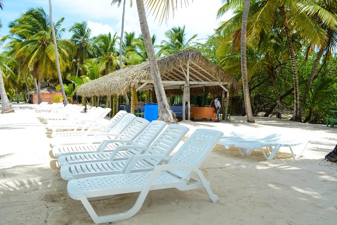 Saona Island Day Trip - Stop 2: Isla Saona beach time and sea vibes