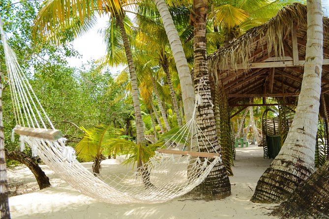 Saona Island Day Trip - Lunch, drinks, and the no-surprise comfort factor