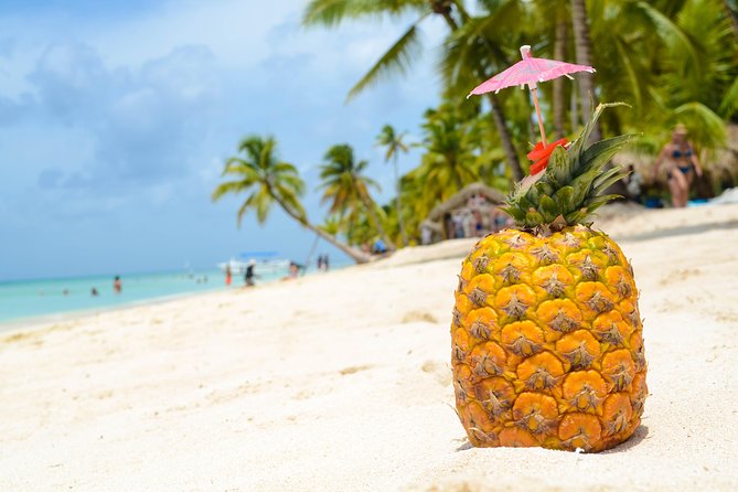 Saona Island Day Trip - Group size and the “private tour” feel