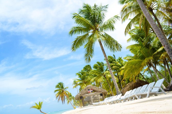 Saona Island Day Trip - Timing reality: a long day that’s still manageable