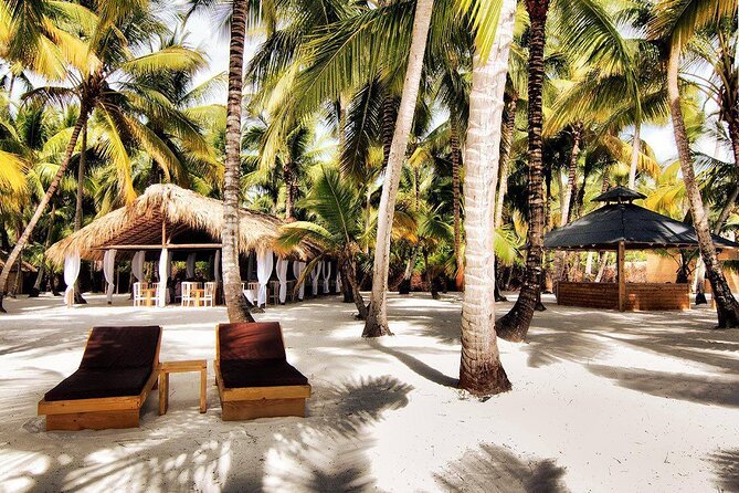 Saona Island Day Trip and Cruise from Punta Cana - Saona Island: what 6 hours on the island feels like
