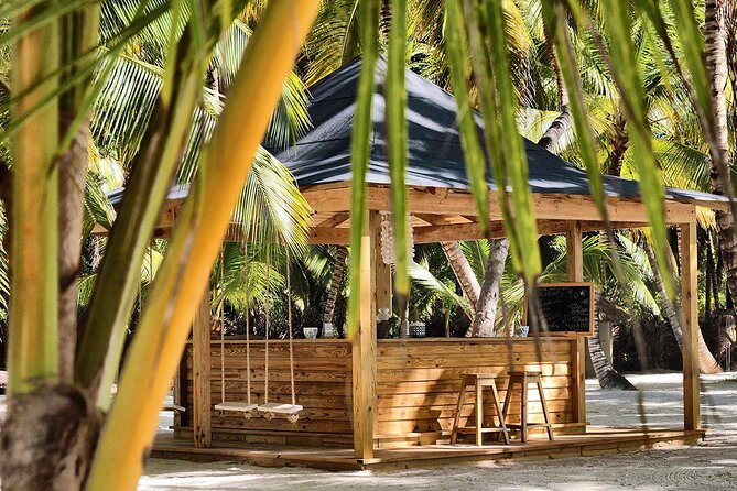 Saona Island Day Trip and Cruise from Punta Cana - Onboard energy: music, dancing, and the return ride