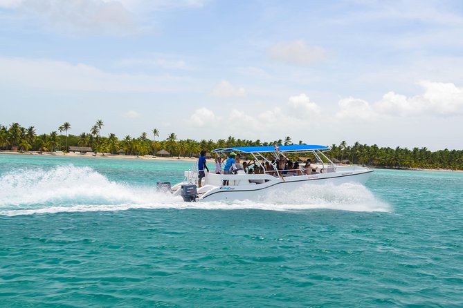 Saona Island Day Trip + Lobsters Included - Playa Palmilla’s natural swimming pool: short stop, big payoff