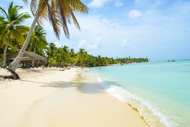 Saona Island Day Trip + Lobsters Included - Group size, personalized attention, and the vibe for couples